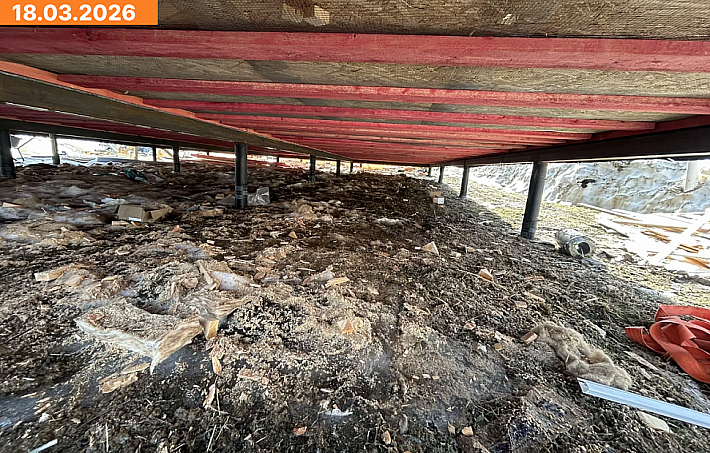 Тим 8х10 18.03.2026 4