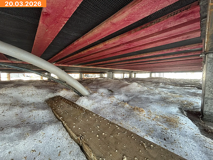 Веронда 8х10 20.03.2026 6