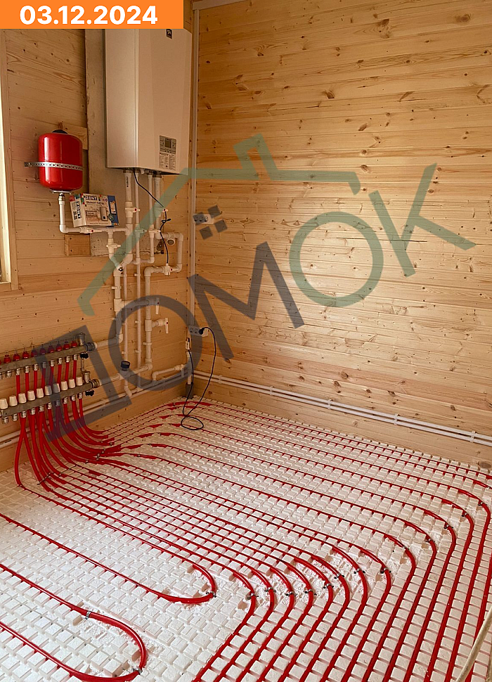 Альма 8х11.5 03.12.2024 (4)