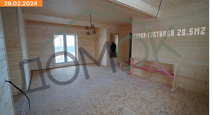 Дейма 15.8х11.9 29.02.2024 5