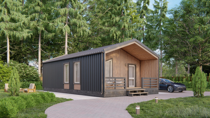 Каркасный дом Барнева 6х11