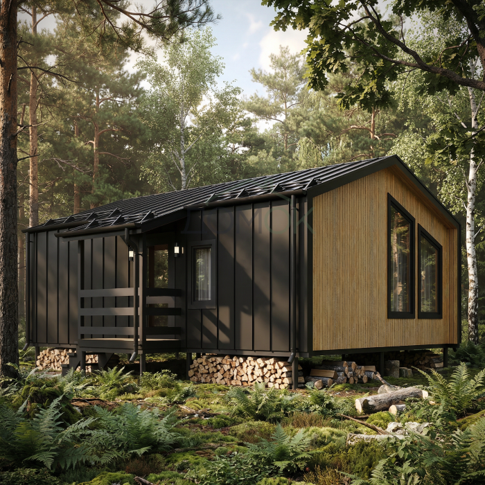 Каркасный дом БАРНЕВА Компакт 6х8