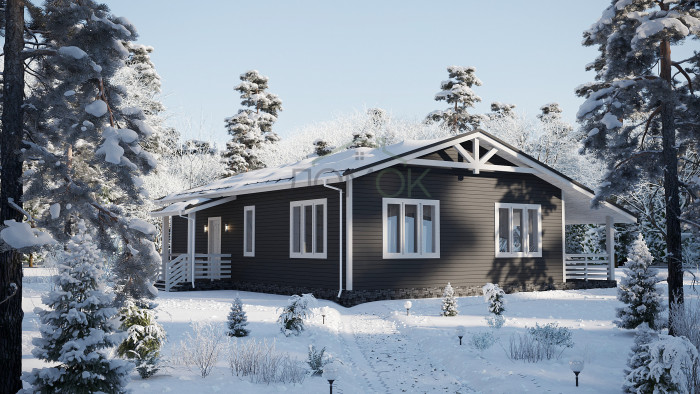 Каркасный дом Ангара 8x12