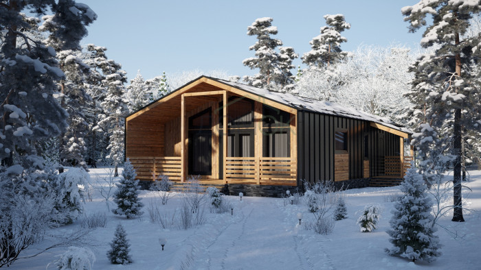 Каркасный дом БАРНЕВА 8х13.5