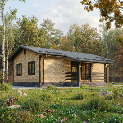 Каркасный дом Ока 6x10 